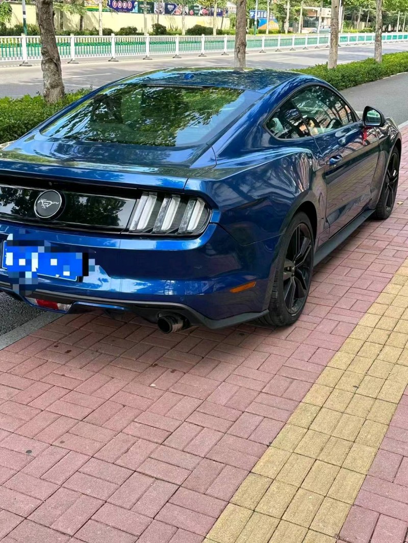 枣庄18年福特野马5