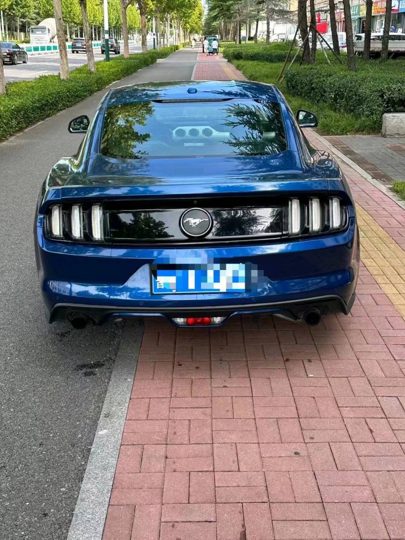 枣庄18年福特野马6