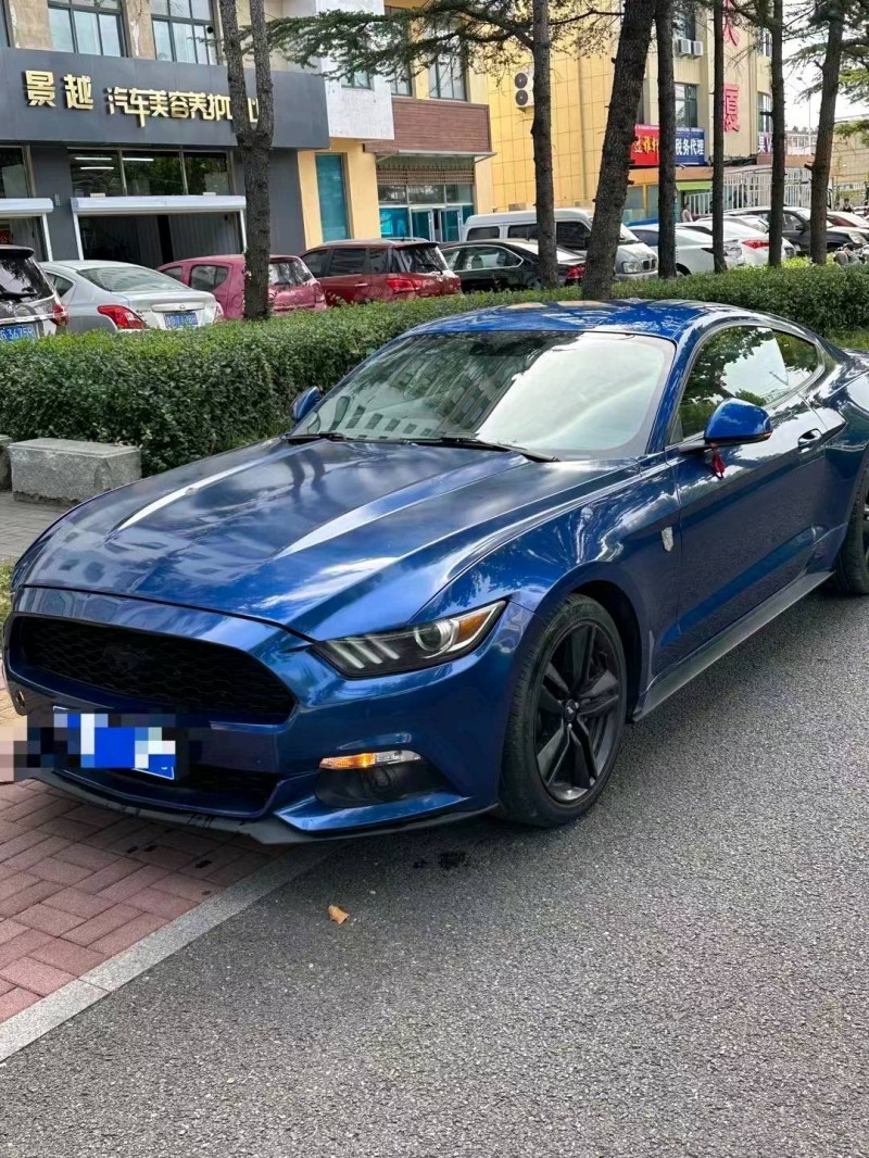 枣庄18年福特野马2