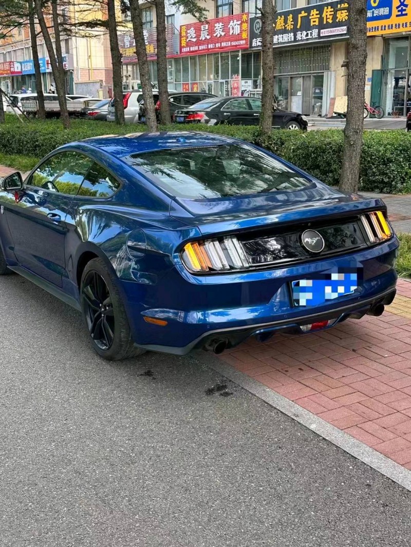 枣庄18年福特野马7