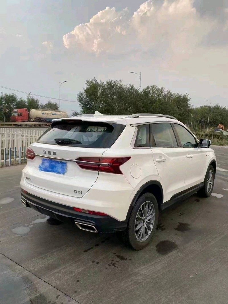 东营23年SWM斯威汽车G015