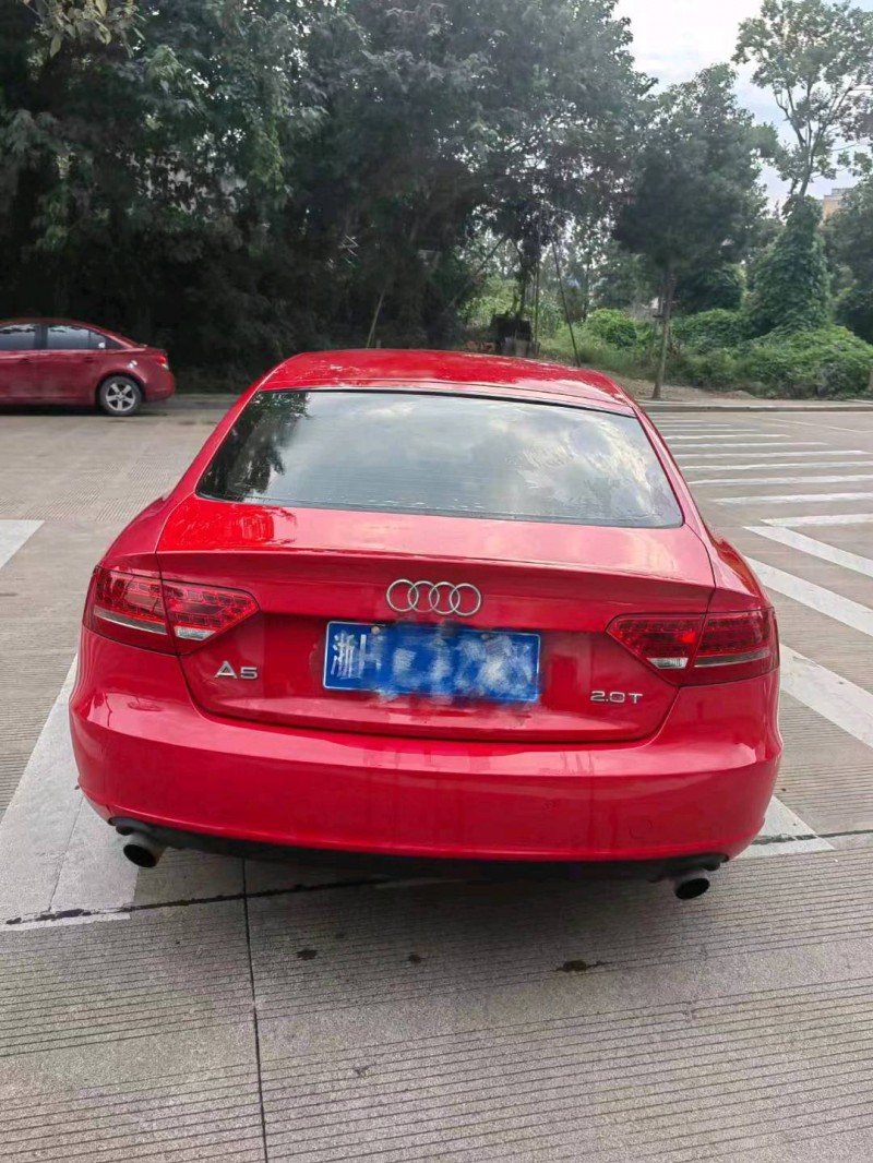 嘉兴11年奥迪A59