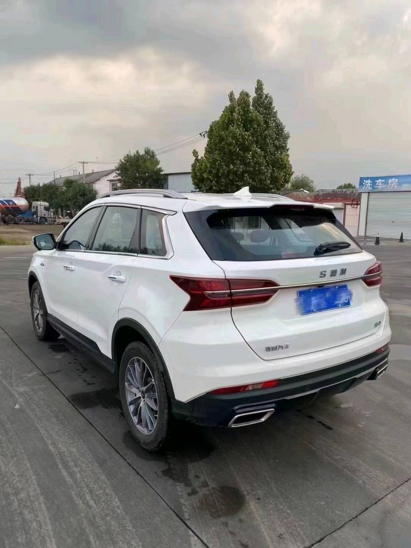 东营23年SWM斯威汽车G017