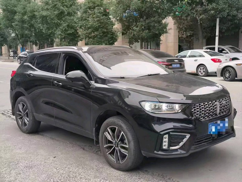 萍鄉21年長城汽車WEY VV53