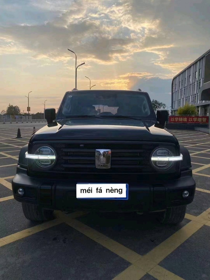 邯郸22年长城汽车坦克3001