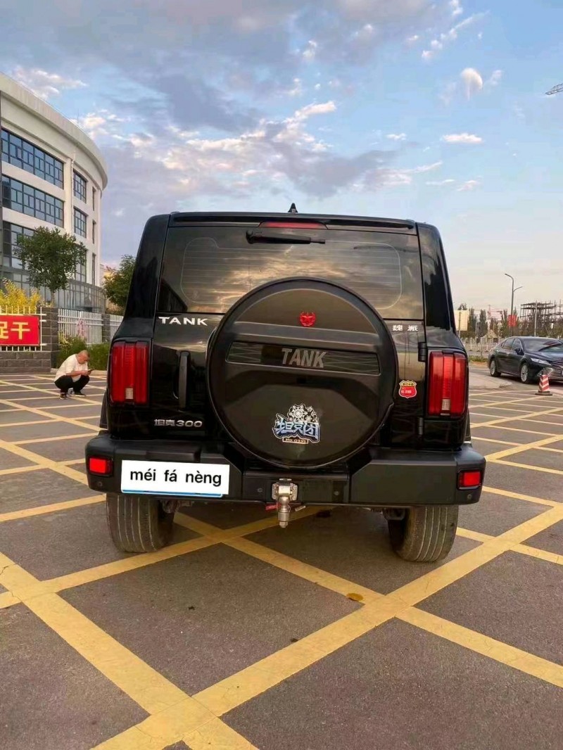 邯郸22年长城汽车坦克3009