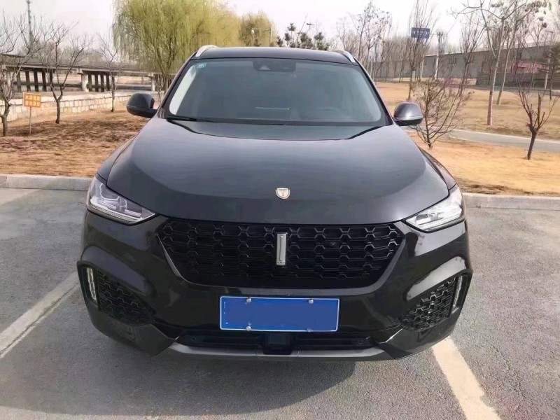 东营19年长城汽车WEY VV61
