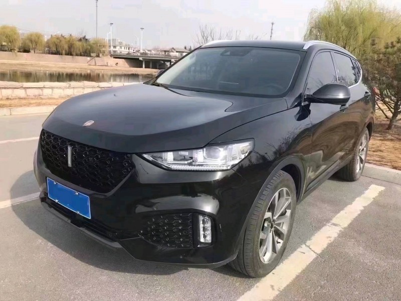 东营19年长城汽车WEY VV63