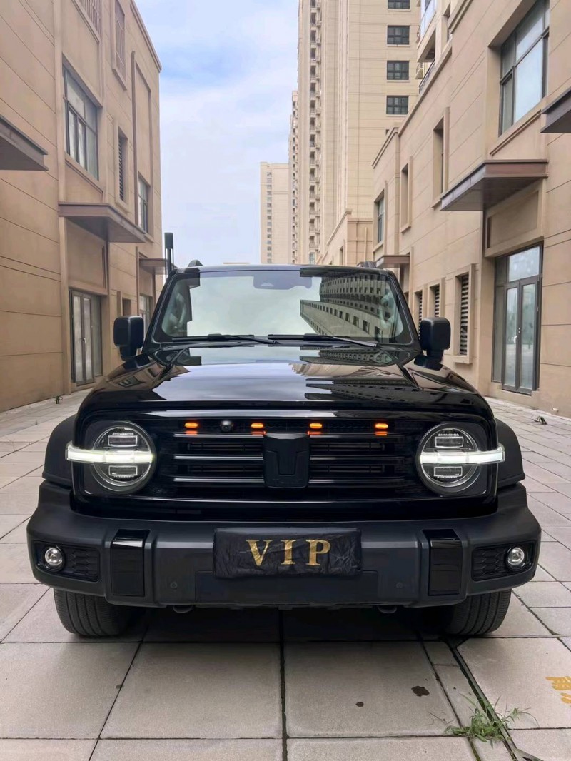 廊坊22年长城汽车坦克3001