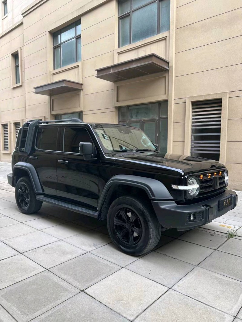 廊坊22年长城汽车坦克3002