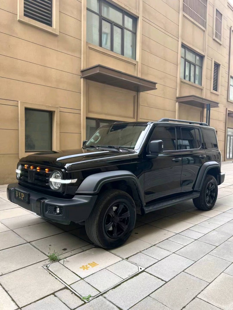 廊坊22年长城汽车坦克3003