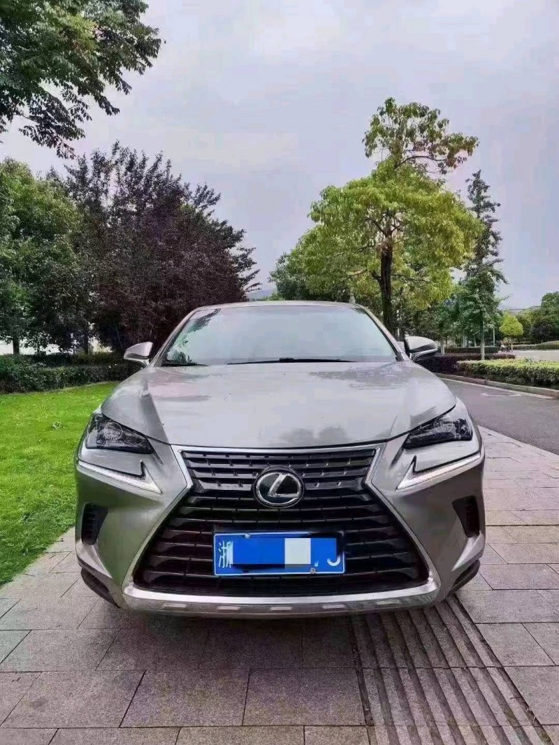 嘉兴19年雷克萨斯NX1