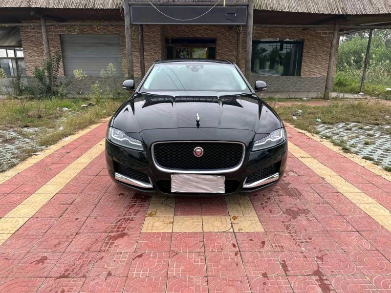 徐州19年捷豹XFL1