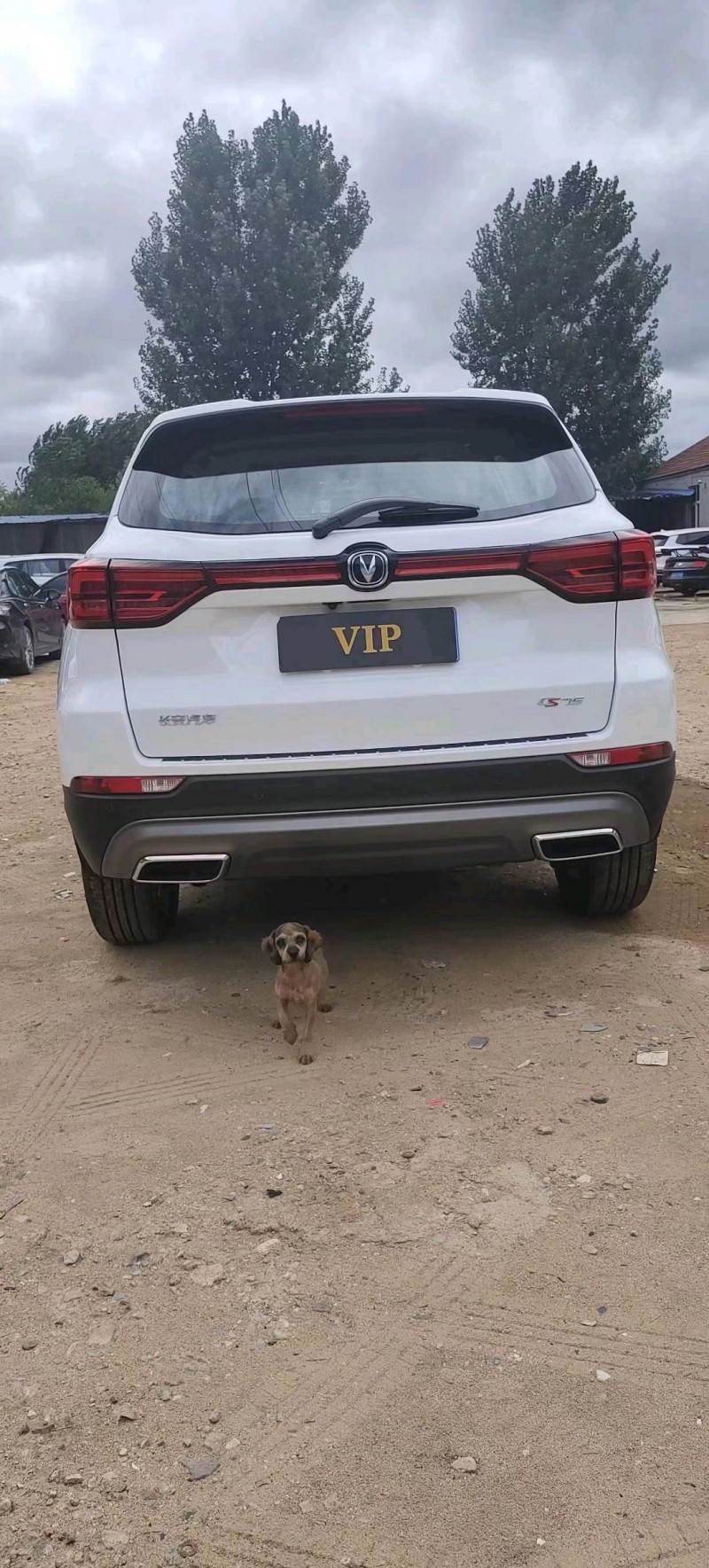 东营23年长安汽车CS757