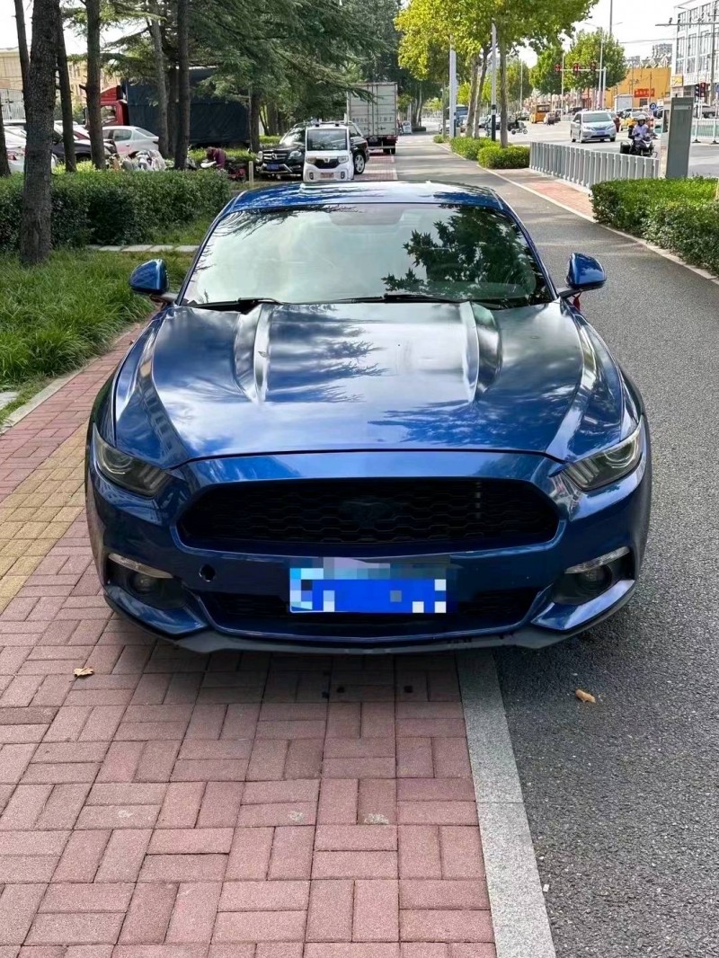 枣庄18年福特野马1