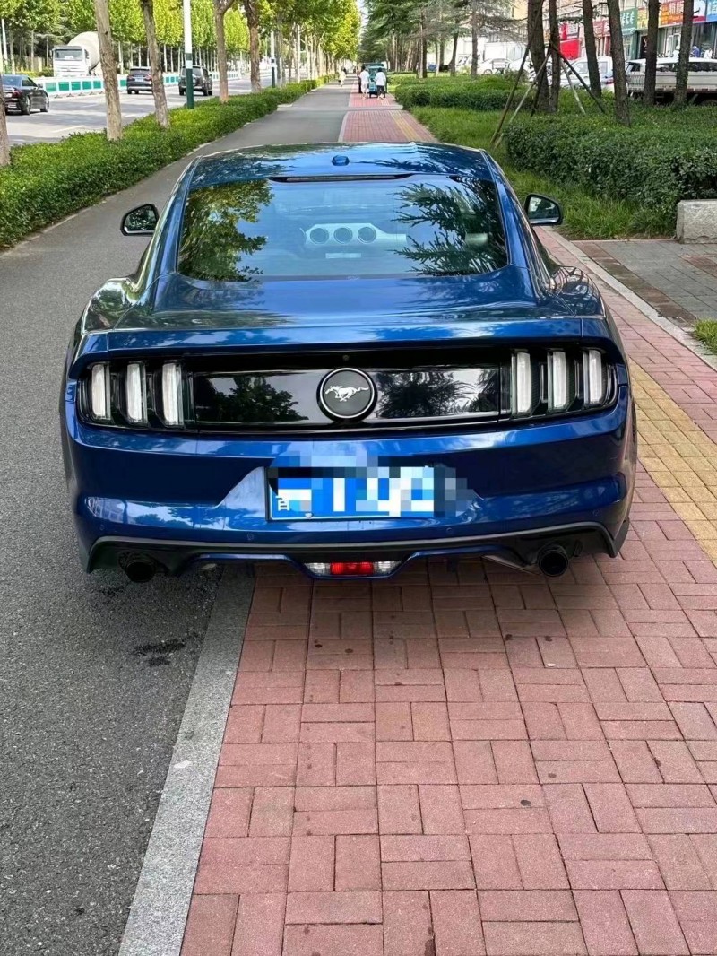 枣庄18年福特野马8