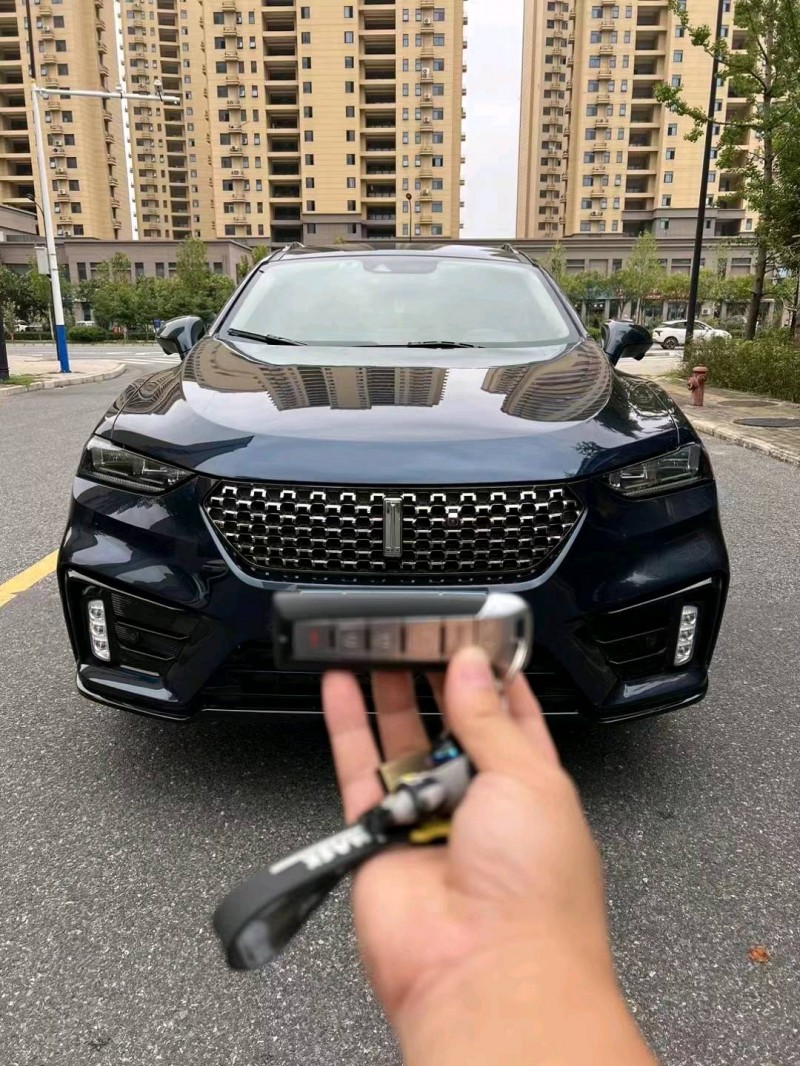 淮南21年長城汽車WEY VV71
