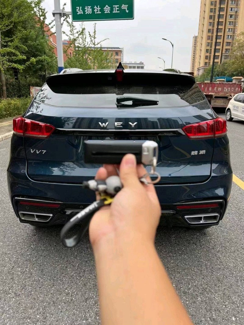 淮南21年長城汽車WEY VV79