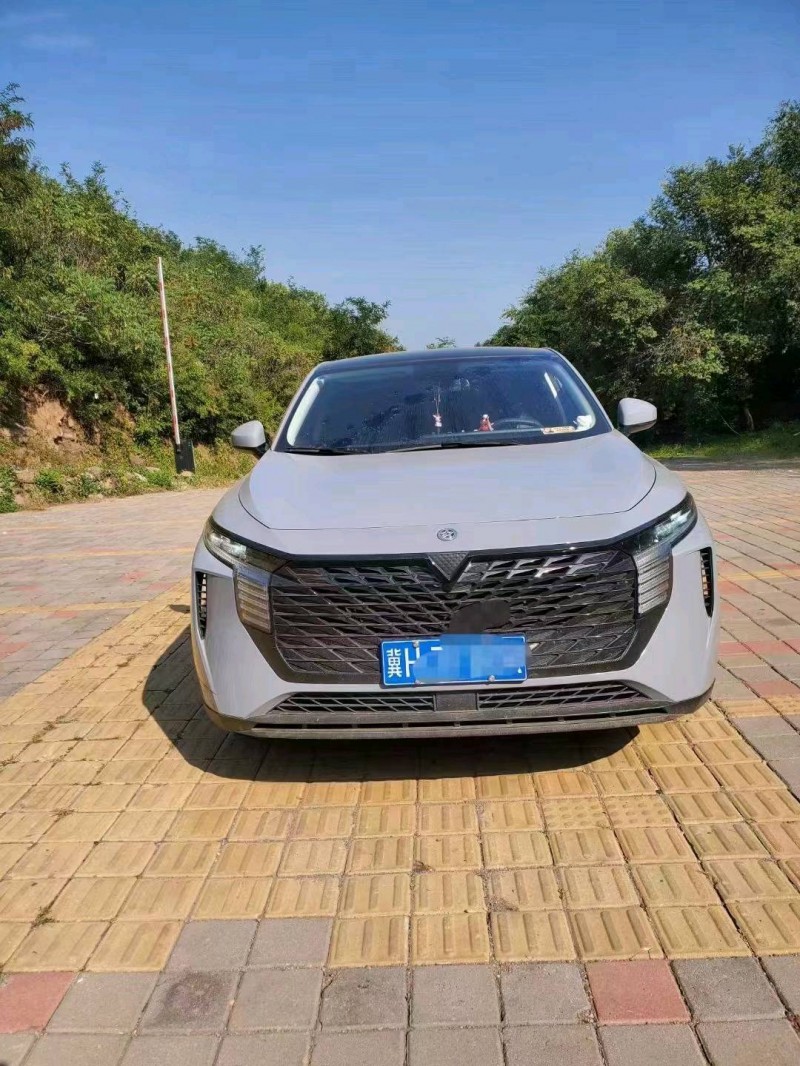 邯鄲23年啟辰大V1