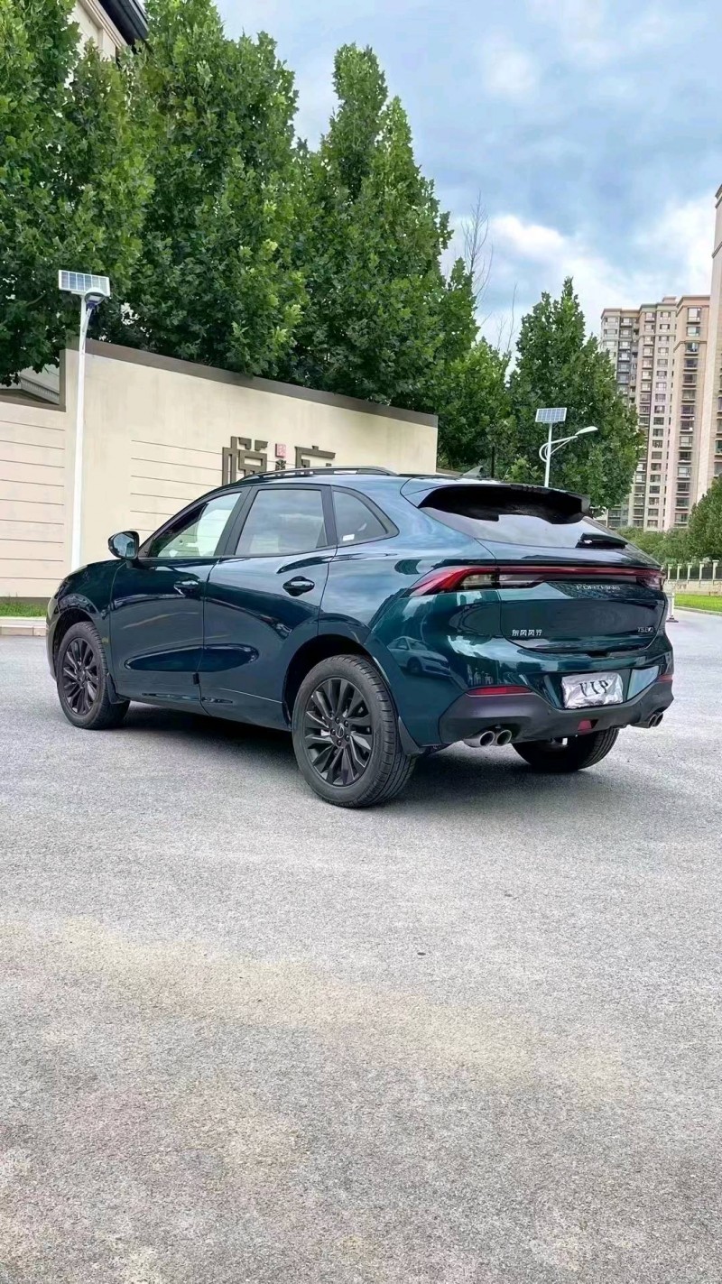 廊坊23年东风T58