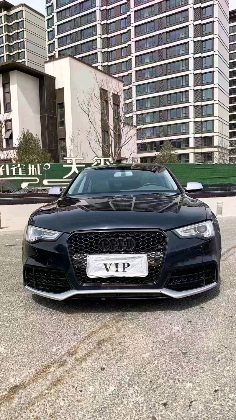 廊坊13年奥迪A51