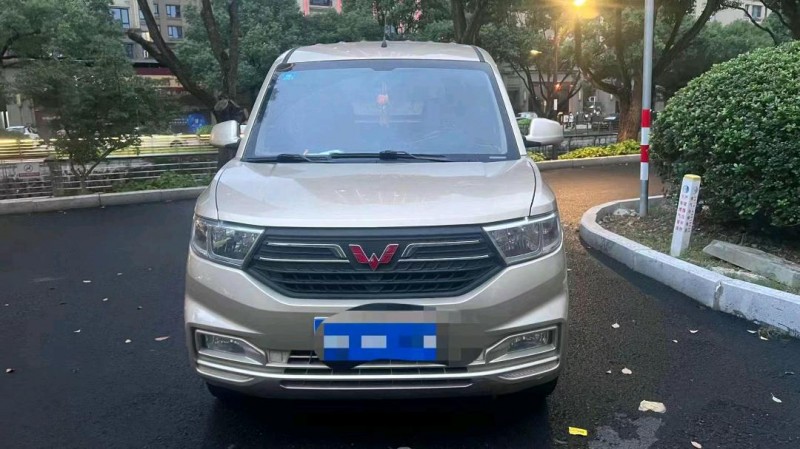 溫州20年五菱汽車宏光1