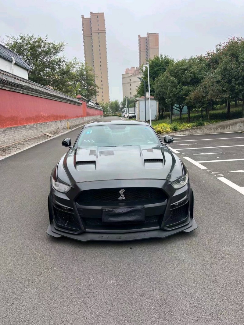 济宁16年福特野马1