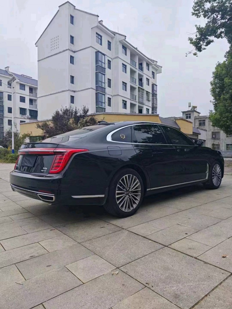 衡陽21年紅旗H94