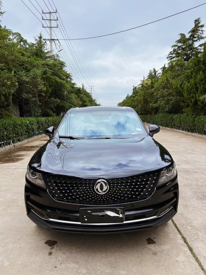 潍坊23年东风风光1