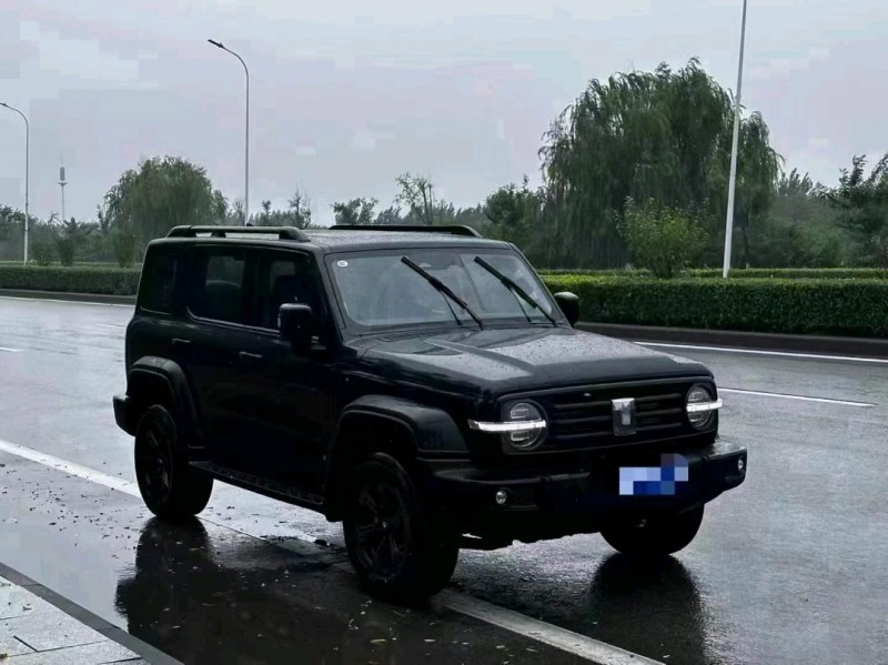 天津22年長城汽車坦克3002