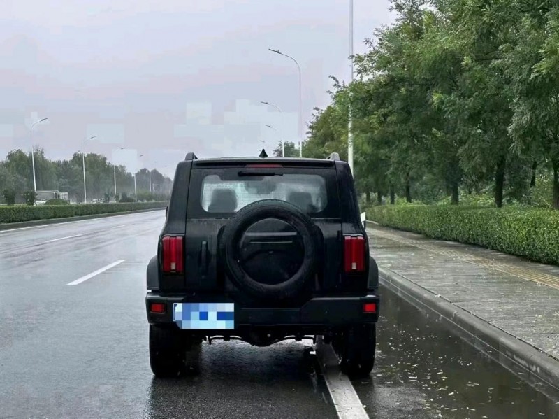 天津22年長城汽車坦克3003