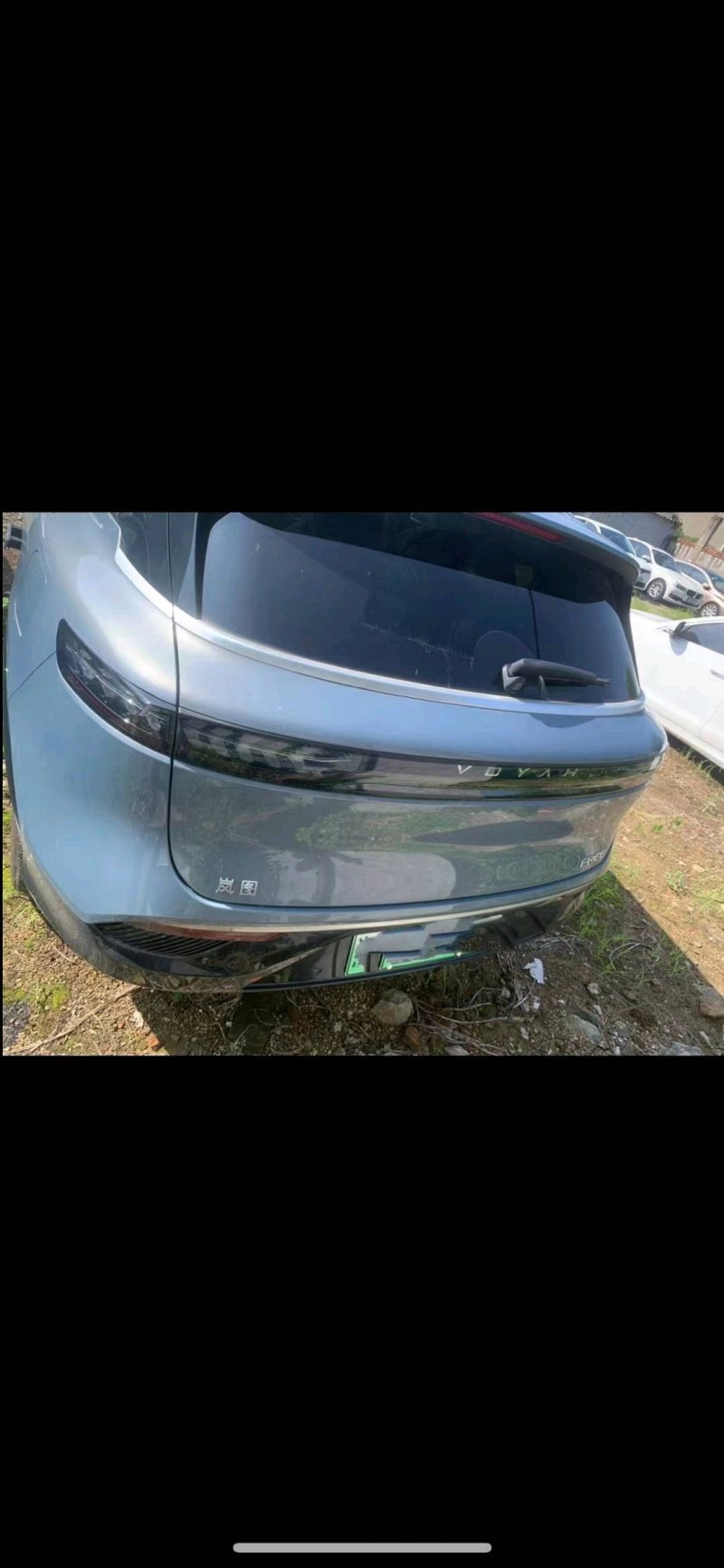 嘉興23年嵐圖汽車FREE2