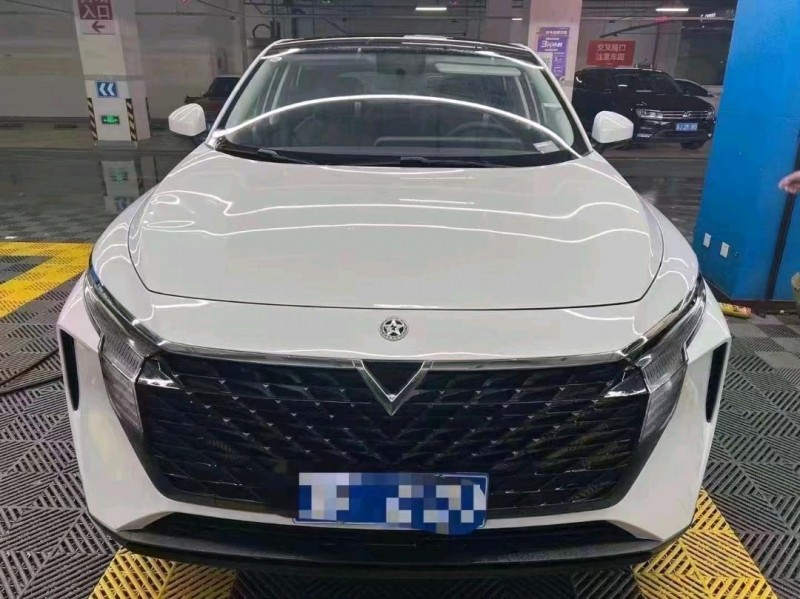嘉興23年啟辰大V1