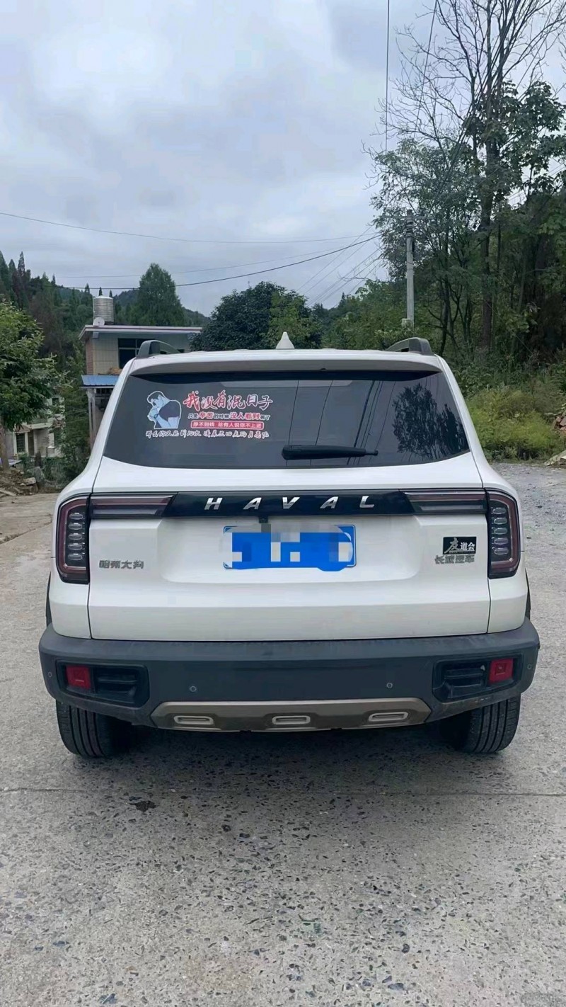 保定22年哈弗大狗8