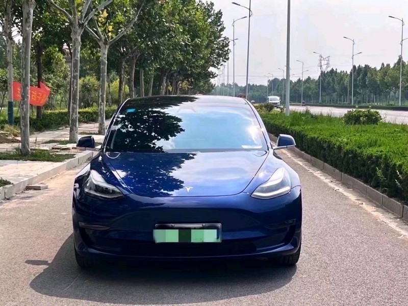 菏澤20年特斯拉MODEL 31