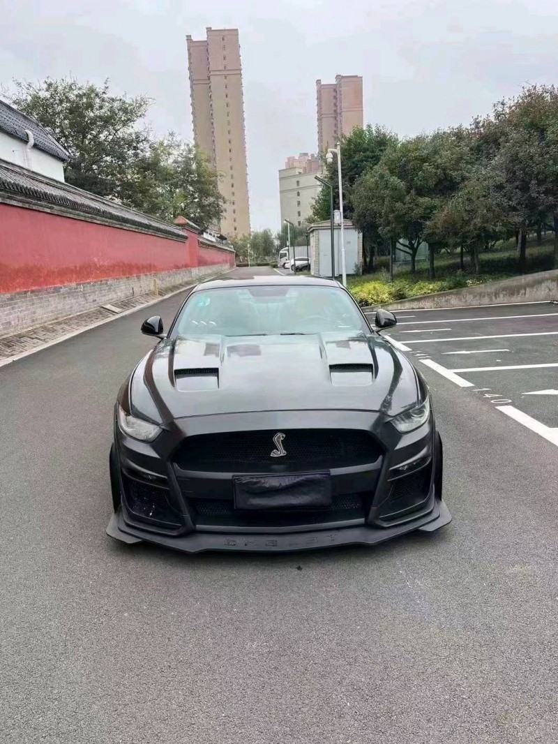 枣庄16年福特野马1