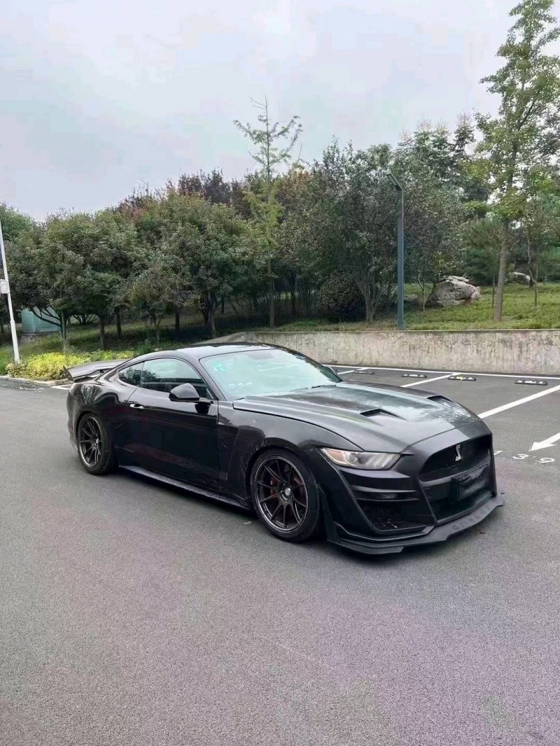 枣庄16年福特野马2