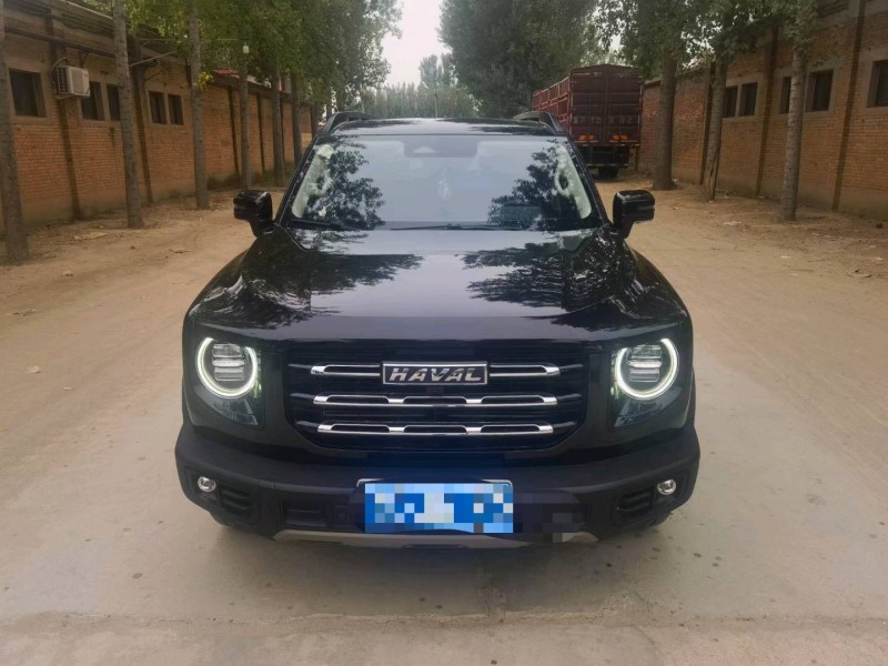 保定21年哈弗大狗1