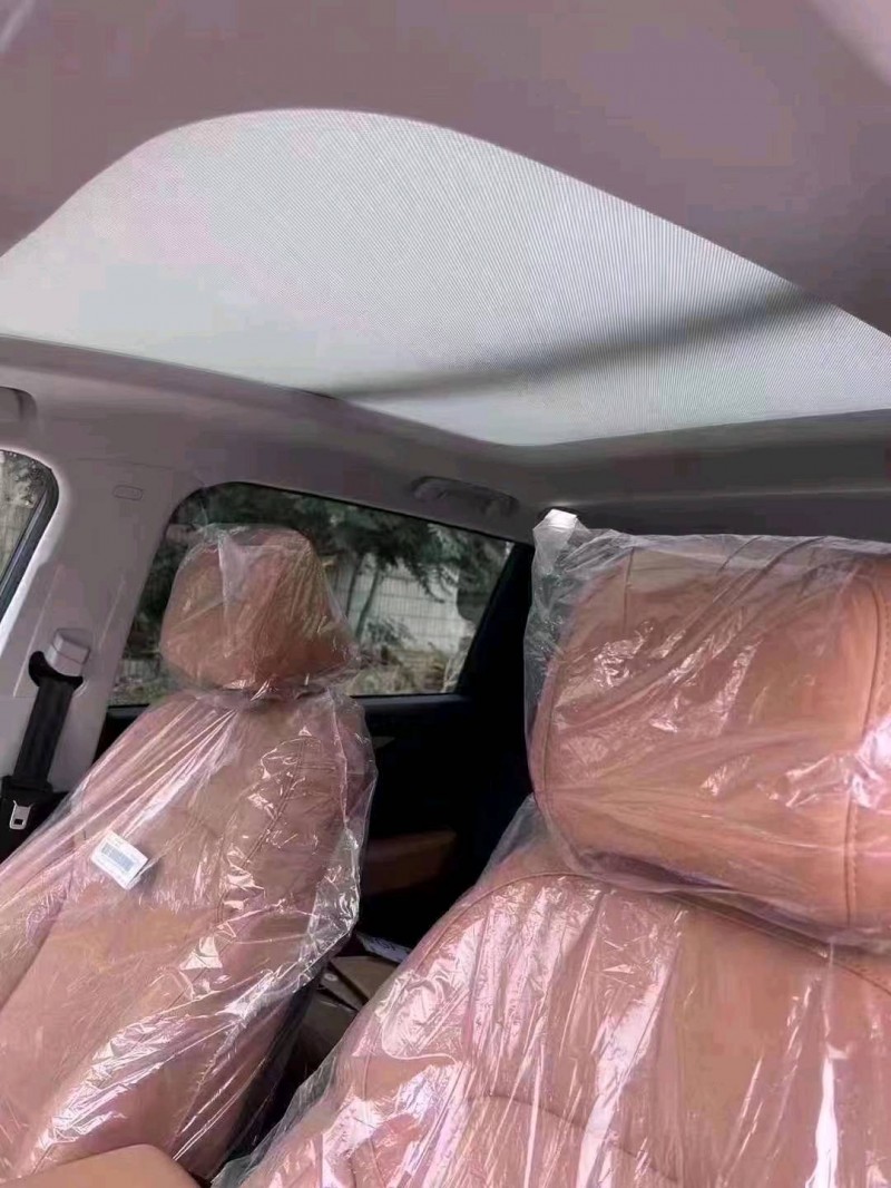 邯郸23年威马汽车W67