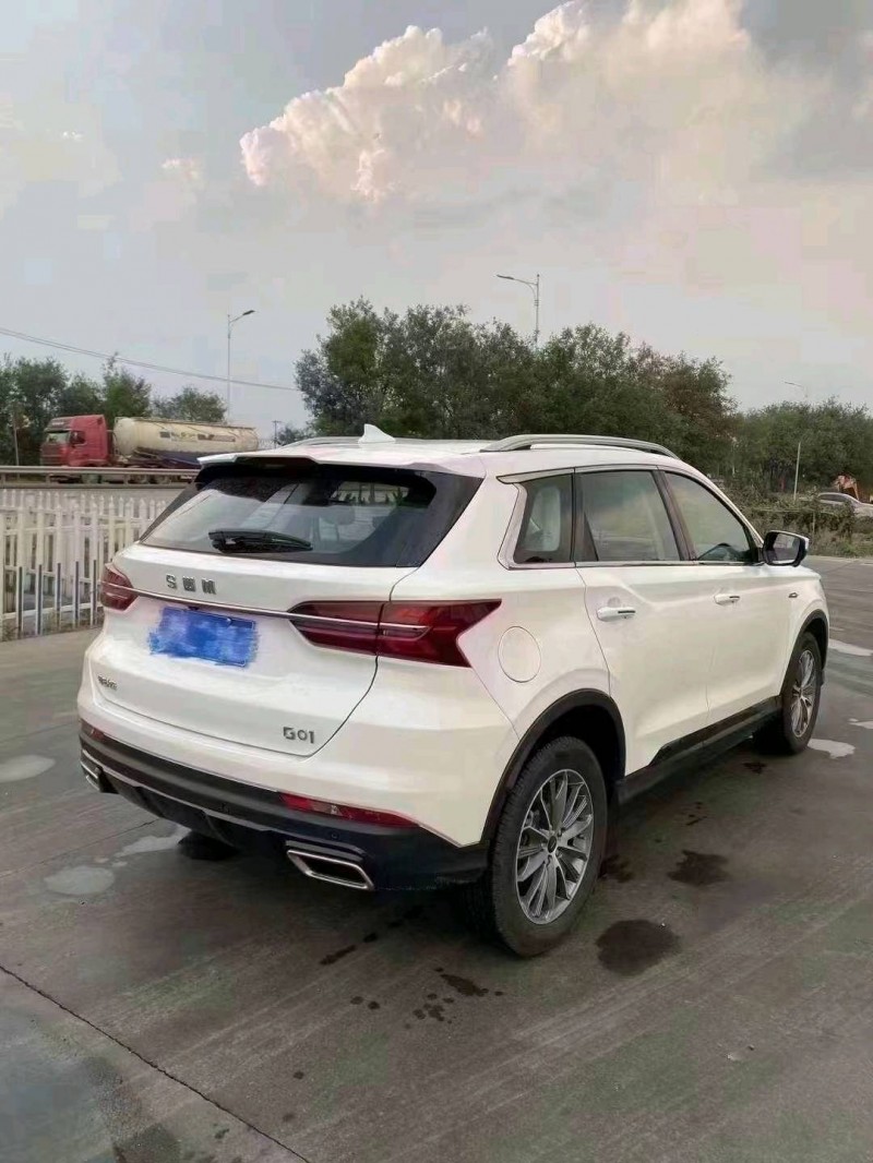 东营23年SWM斯威汽车G014