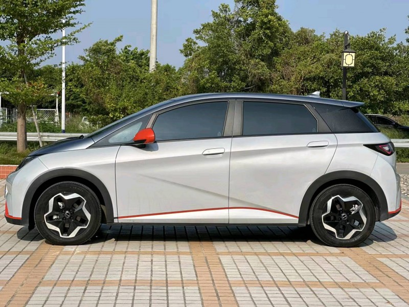 深圳22年比亚迪海豚6