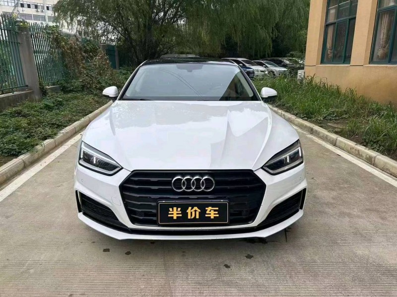 宜昌20年奧迪A51