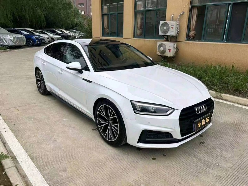 宜昌20年奧迪A59