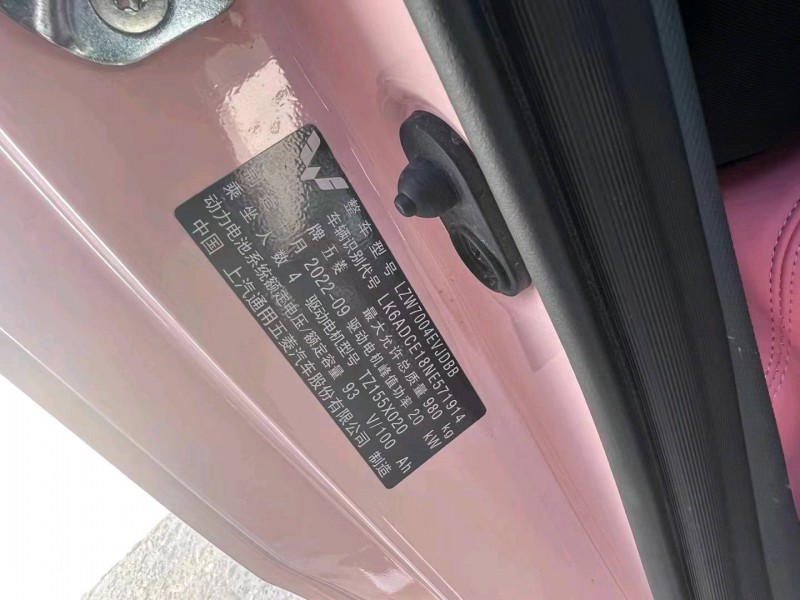 邢臺22年五菱汽車宏光MINI EV4