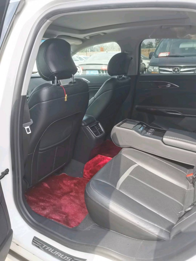 保定16年福特金牛座8