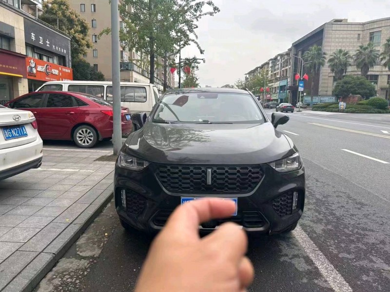 嘉兴17年长城汽车WEY VV51