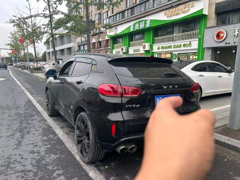 嘉兴17年长城汽车WEY VV59