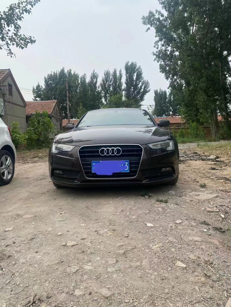 济宁13年奥迪A51