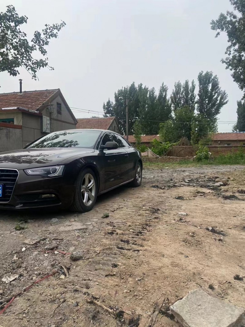 济宁13年奥迪A53