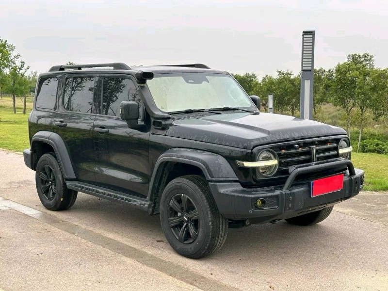 鄭州21年長城汽車坦克3002